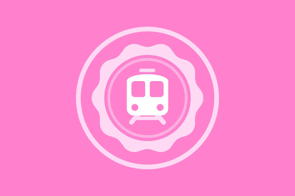 Using Public Transportation